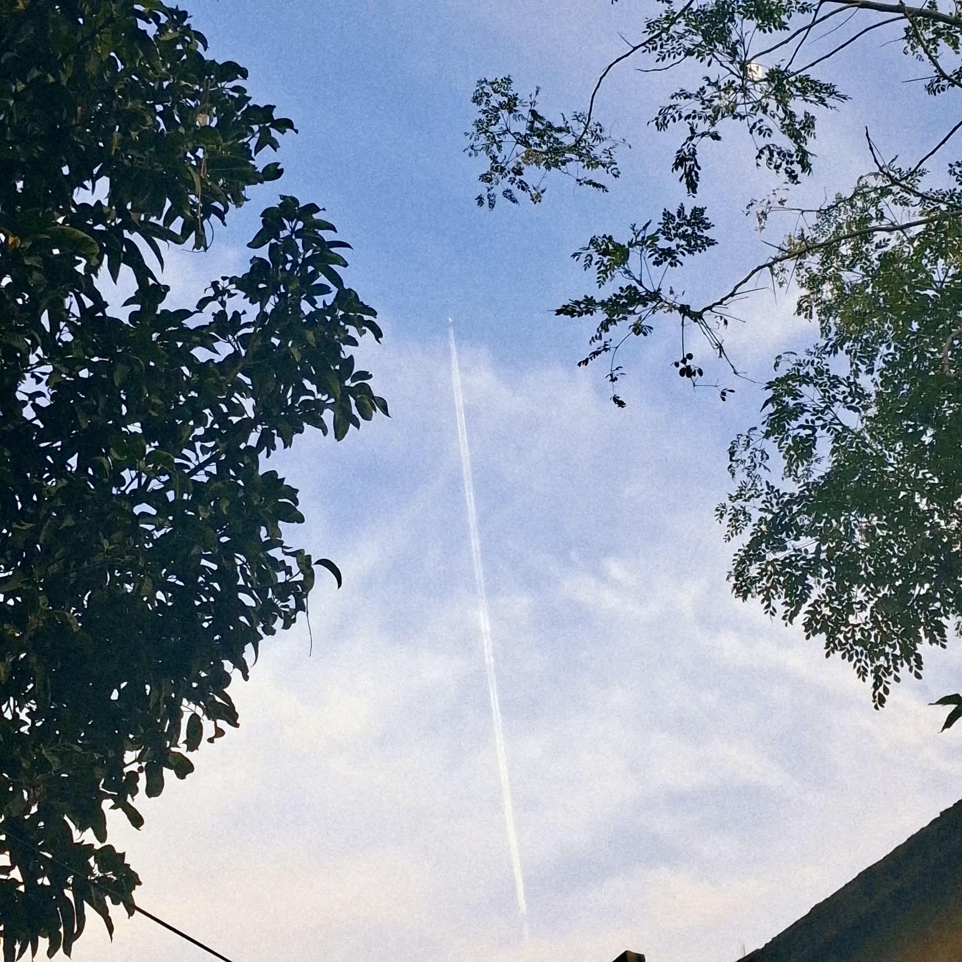 Shot: plane.jpg